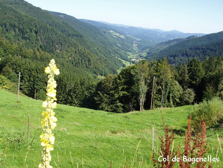 Col de Bagenelles - Photo G.GUYOT